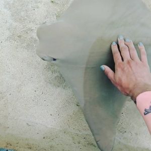 Meet your Posher, Gabriella